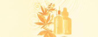 What Is CBD (Cannabidiol)? - Discover The Facts