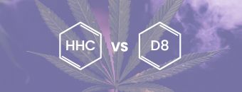 HHC Vs Delta 8: Which One Is Right For Me?