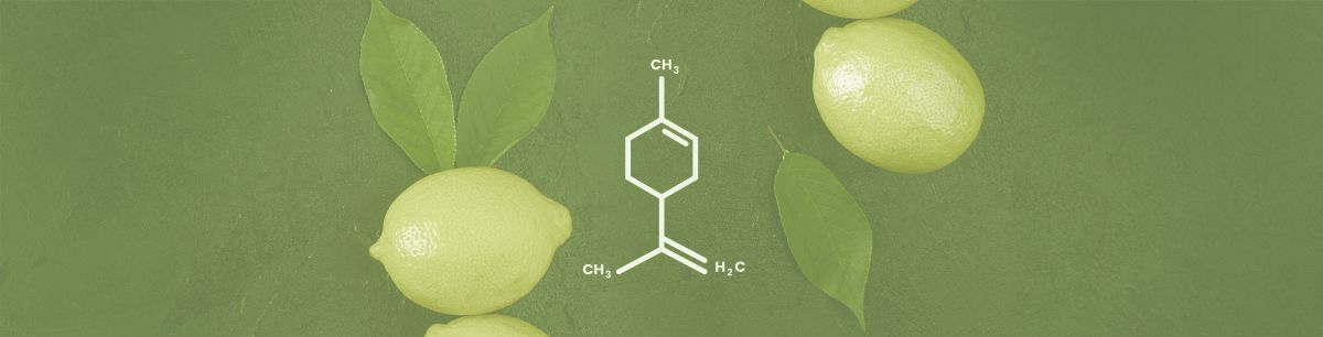 Limonene Terpene Effects & Benefits - The Ultimate Guide