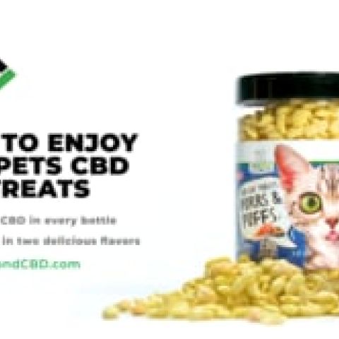 CBD Cat Treats - Seafood Medley - 300mg - MediPets - Video Thumbnail 1