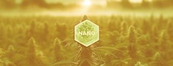 What Are Nano Cannabinoids? What You Need to Know