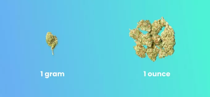 How Many Grams Are In An Ounce of Cannabis?