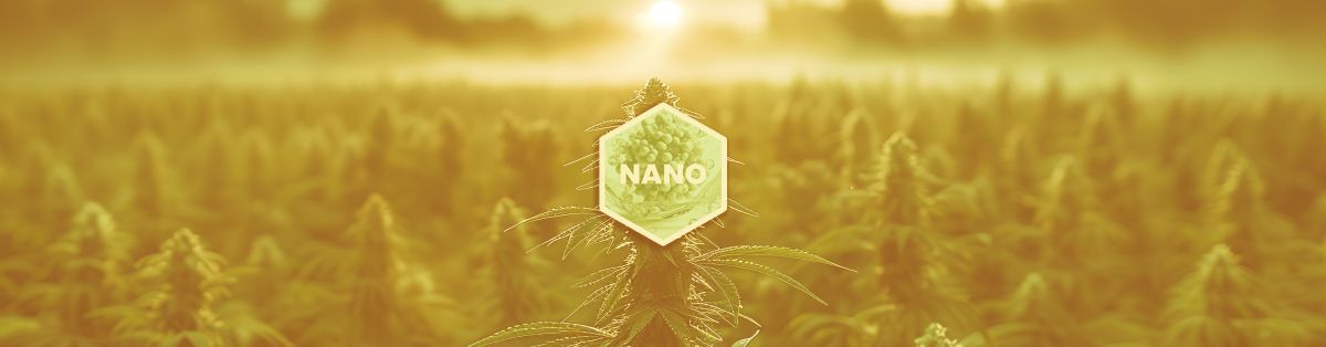 What Are Nano Cannabinoids? What You Need to Know