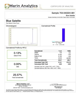 Blue Satellite Flower - THCA - Sativa