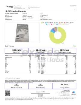 25mg Full Spectrum CBD Dip Pouches - Pineapple - Lip