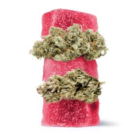 250mg D8 + Live Resin Gummies - GG4 - Chill Extreme