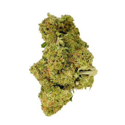 Sativa THCA Flower Ounce Bundle - Chill Plus - Thumbnail 6