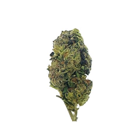 Sativa THCA Flower Ounce Bundle - Chill Plus - Thumbnail 8